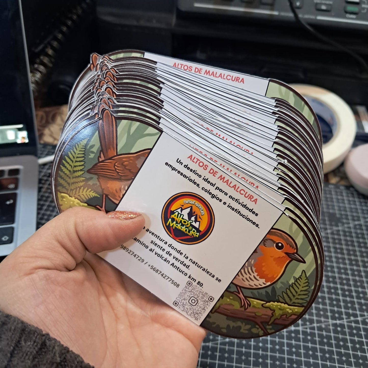Tarjetas de Marketing Troqueladas para Autos | Alta Calidad