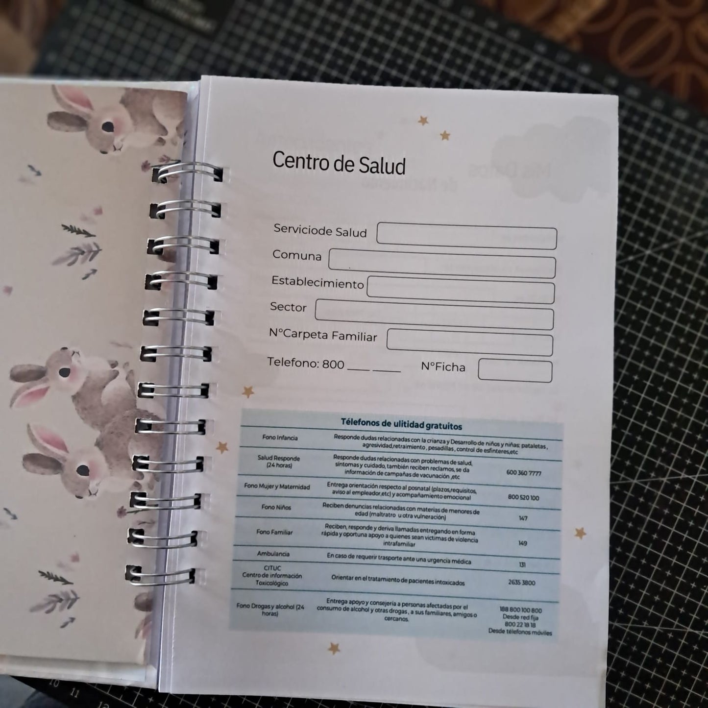 Cuaderno de Control Sano & Pediatría Personalizado ✨