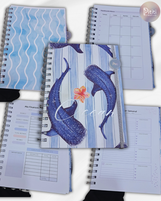 Agenda Ocean | Organización y Finanzas ✨